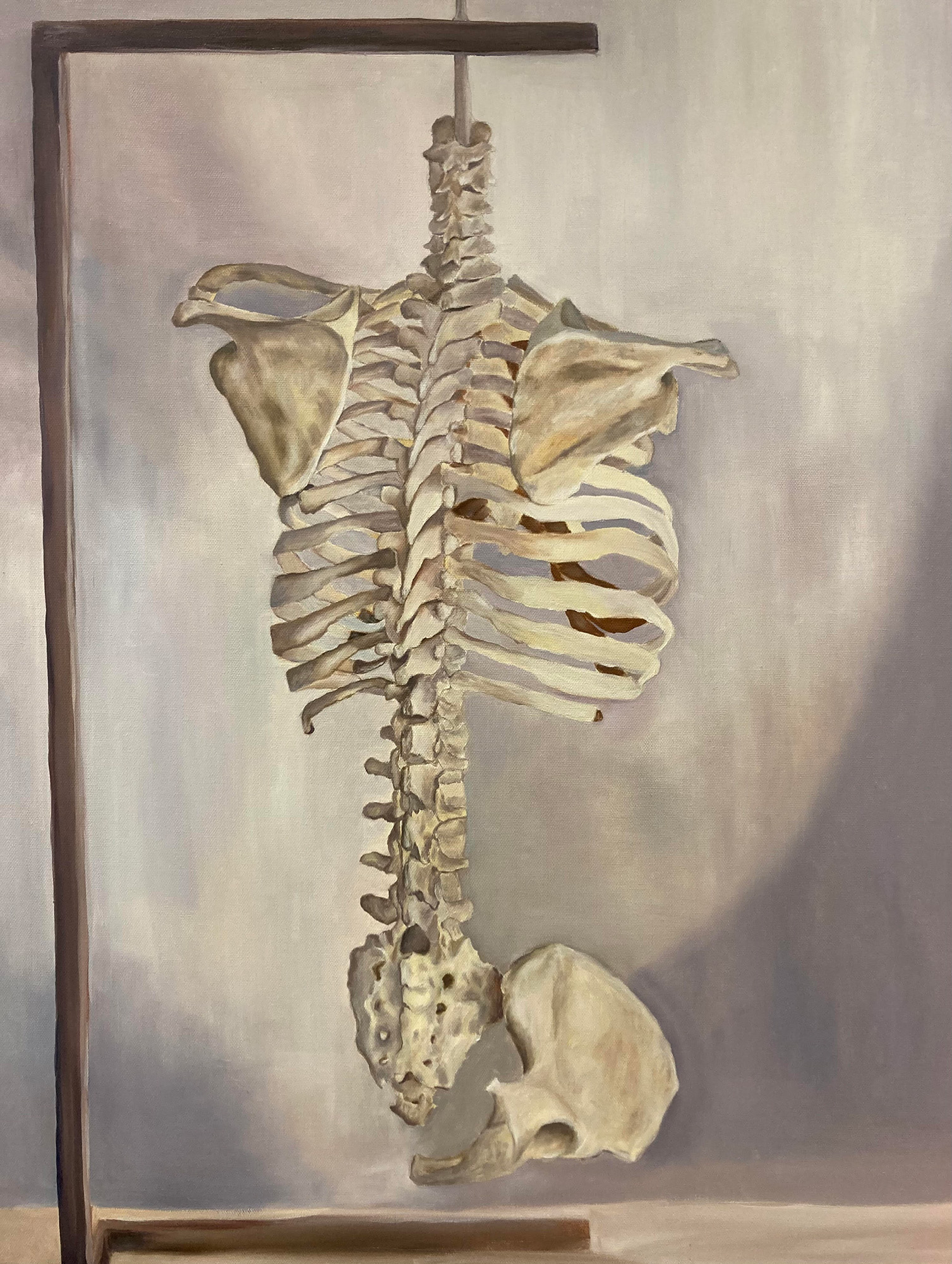 Skeleton study